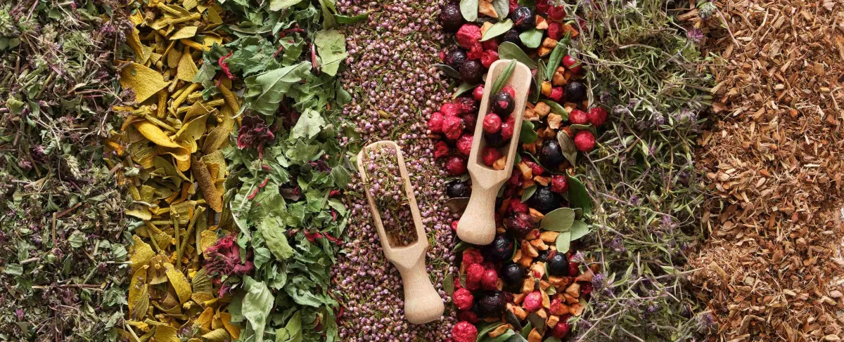 Keyf Wellness